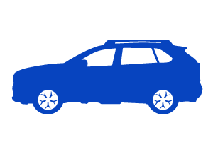 SUV (Vehicle)